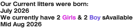 Our Current litters were born: July 2026 We currently have 2 Girls & 2 Boy sAvailable Mid Aug 2026